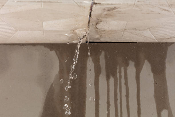 Professional Structural Drying technician working in Vanderbilt, TX
